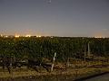 Vineyards near Saint-Émilion at night P1140311